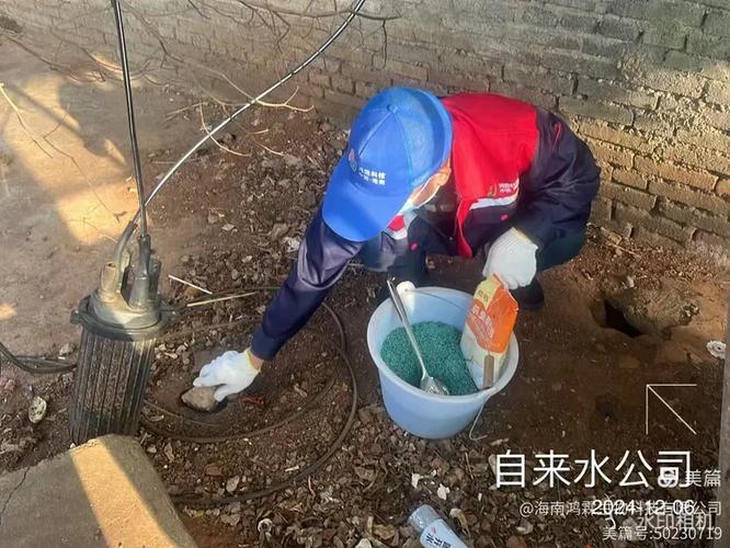 2024年12月6日海南鸿霖生物科技出动防制员对临高县临城镇