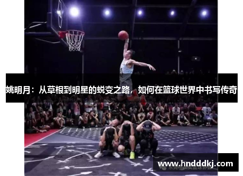 姚明月：从草根到明星的蜕变之路，如何在篮球世界中书写传奇