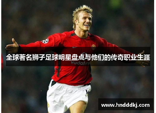 全球著名狮子足球明星盘点与他们的传奇职业生涯