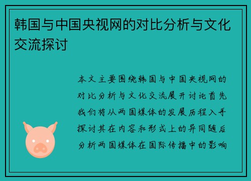 韩国与中国央视网的对比分析与文化交流探讨